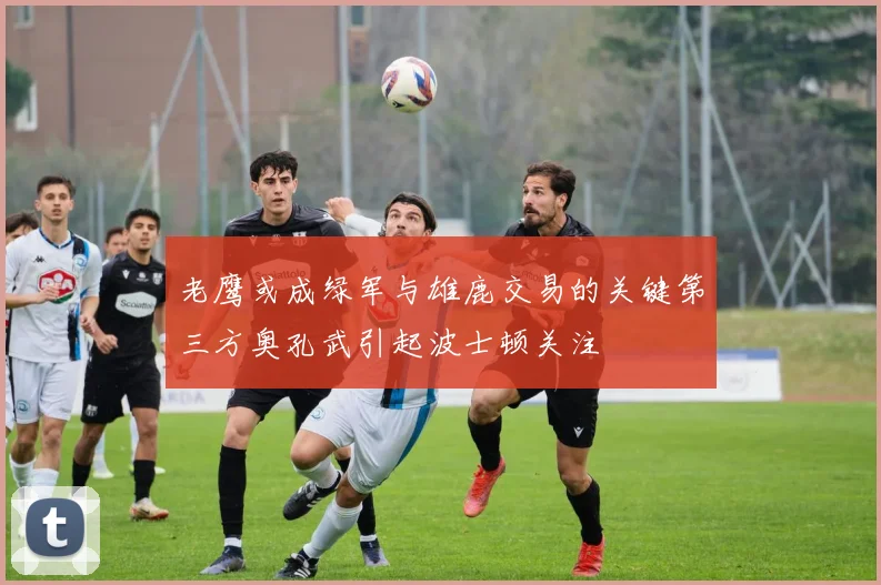 老鹰或成绿军与雄鹿交易的关键第三方奥孔武引起波士顿关注