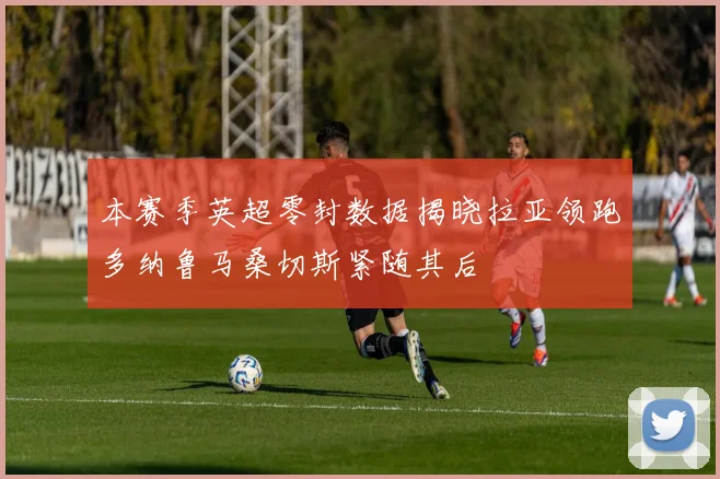 本赛季英超零封数据揭晓拉亚领跑多纳鲁马桑切斯紧随其后